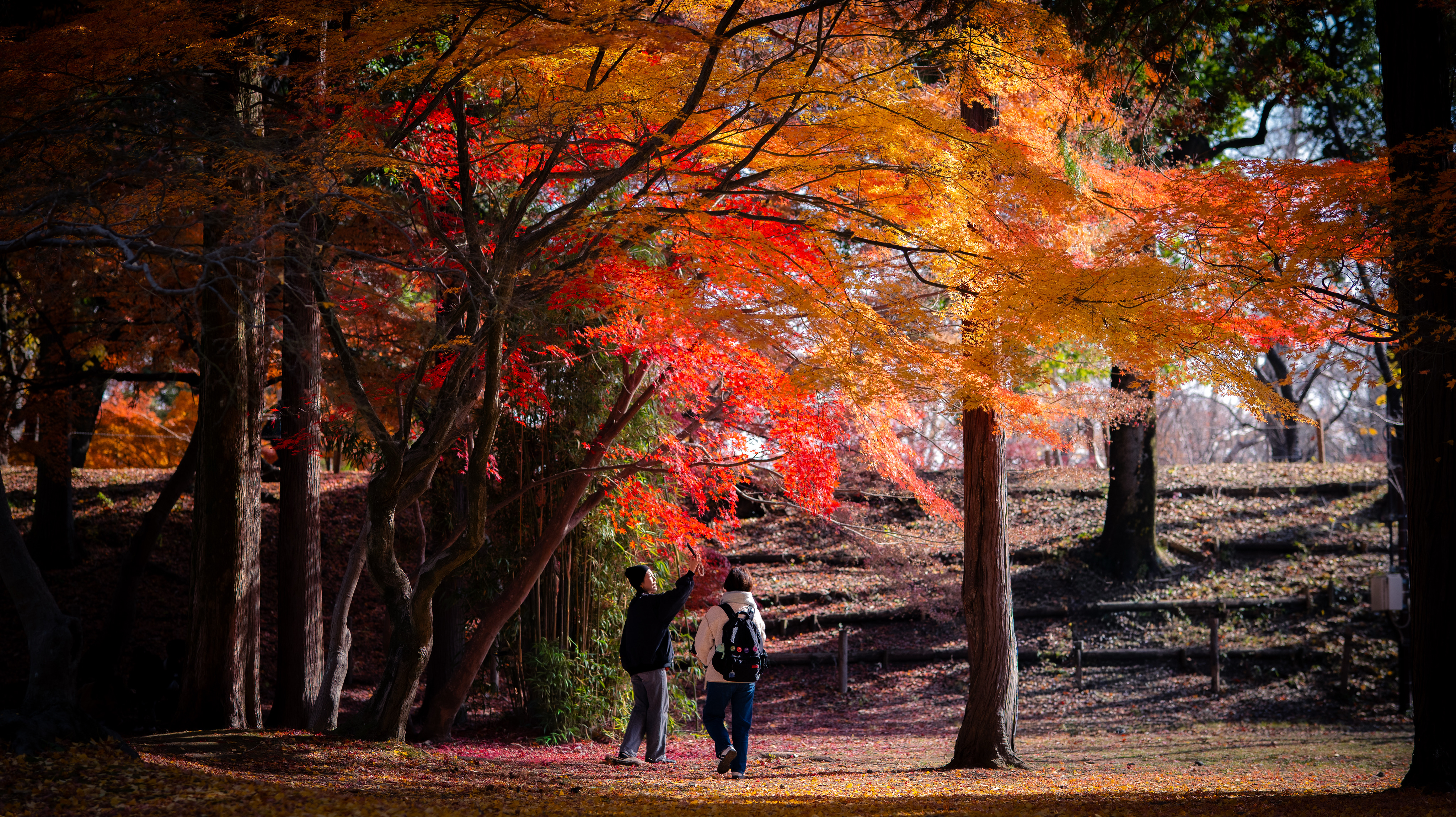 商品/人物写真撮影